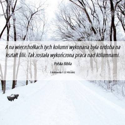 Picture 06 - 1 Królewska 7:22 POLUBG - A na wierzchołkach tych kolumn wykonana była - Bible Verse Picture