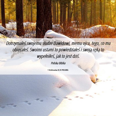 Picture 06 - 1 Królewska 8:24 POLUBG - Dotrzymałeś swojemu słudze Dawidowi, memu - Bible Verse Picture