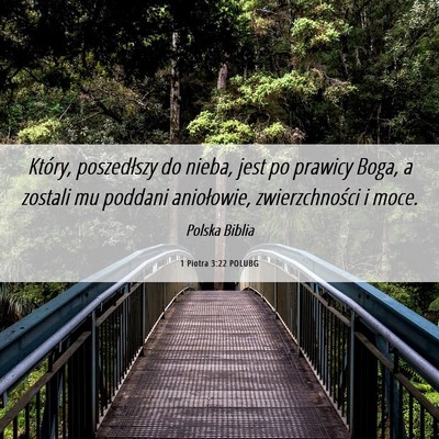 Picture 06 - 1 Piotra 3:22 POLUBG - Który, poszedłszy do nieba, jest po prawicy - Bible Verse Picture
