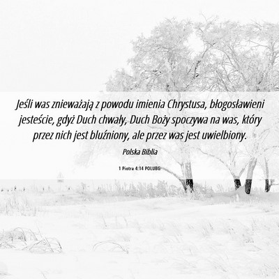 Picture 06 - 1 Piotra 4:14 POLUBG - Jeśli was znieważają z powodu imienia - Bible Verse Picture
