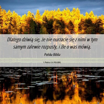 Picture 06 - 1 Piotra 4:4 POLUBG - Dlatego dziwią się, że nie nurzacie się z - Bible Verse Picture
