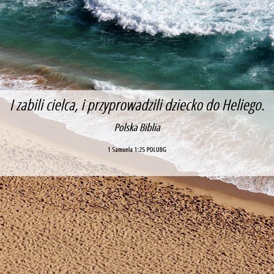 Picture 06 - 1 Samuela 1:25 POLUBG - I zabili cielca, i przyprowadzili dziecko do - Bible Verse Picture