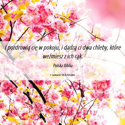 Picture 06 - 1 Samuela 10:4 POLUBG - I pozdrowią cię w pokoju, i dadzą ci dwa - Bible Verse Picture