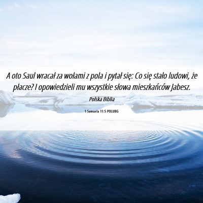 Picture 06 - 1 Samuela 11:5 POLUBG - A oto Saul wracał za wołami z pola i pytał - Bible Verse Picture