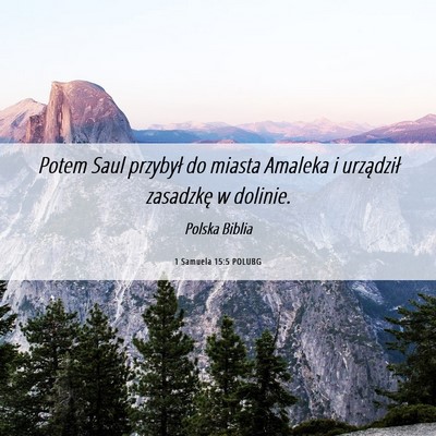 Picture 06 - 1 Samuela 15:5 POLUBG - Potem Saul przybył do miasta Amaleka i - Bible Verse Picture