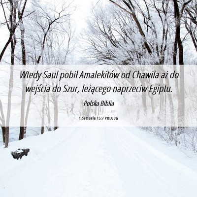 Picture 06 - 1 Samuela 15:7 POLUBG - Wtedy Saul pobił Amalekitów od Chawila aż do - Bible Verse Picture