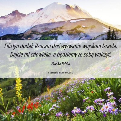 Picture 06 - 1 Samuela 17:10 POLUBG - Filistyn dodał: Rzucam dziś wyzwanie wojskom - Bible Verse Picture