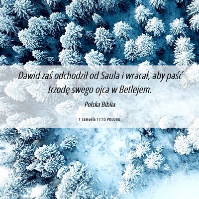 Picture 06 - 1 Samuela 17:15 POLUBG - Dawid zaś odchodził od Saula i wracał, aby - Bible Verse Picture