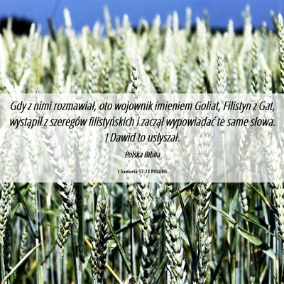 Picture 06 - 1 Samuela 17:23 POLUBG - Gdy z nimi rozmawiał, oto wojownik imieniem - Bible Verse Picture