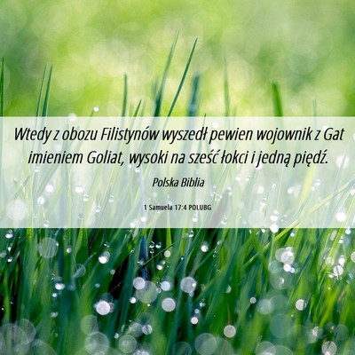 Picture 06 - 1 Samuela 17:4 POLUBG - Wtedy z obozu Filistynów wyszedł pewien - Bible Verse Picture