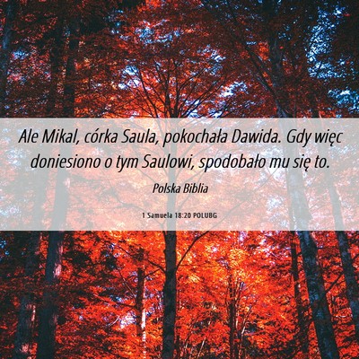 Picture 06 - 1 Samuela 18:20 POLUBG - Ale Mikal, córka Saula, pokochała Dawida. Gdy - Bible Verse Picture
