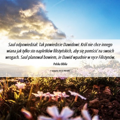 Picture 06 - 1 Samuela 18:25 POLUBG - Saul odpowiedział: Tak powiedzcie Dawidowi: - Bible Verse Picture