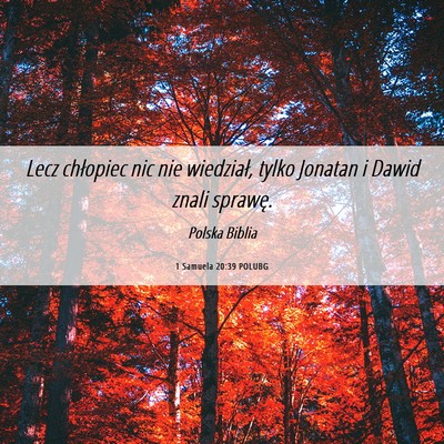 Picture 06 - 1 Samuela 20:39 POLUBG - Lecz chłopiec nic nie wiedział, tylko Jonatan i - Bible Verse Picture