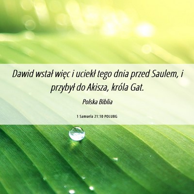 Picture 06 - 1 Samuela 21:10 POLUBG - Dawid wstał więc i uciekł tego dnia przed - Bible Verse Picture