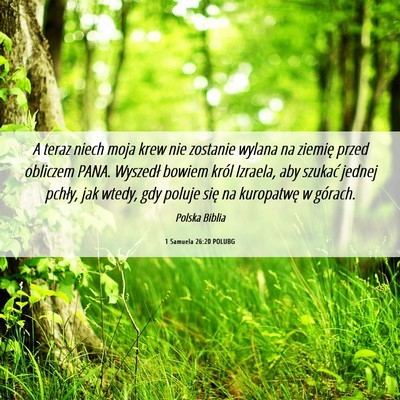 Picture 06 - 1 Samuela 26:20 POLUBG - A teraz niech moja krew nie zostanie wylana na - Bible Verse Picture