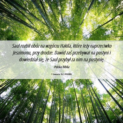 Picture 06 - 1 Samuela 26:3 POLUBG - Saul rozbił obóz na wzgórzu Hakila, które - Bible Verse Picture