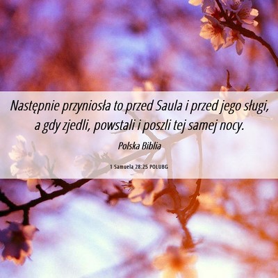 Picture 06 - 1 Samuela 28:25 POLUBG - Następnie przyniosła to przed Saula i przed - Bible Verse Picture