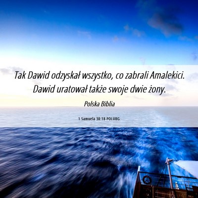 Picture 06 - 1 Samuela 30:18 POLUBG - Tak Dawid odzyskał wszystko, co zabrali - Bible Verse Picture