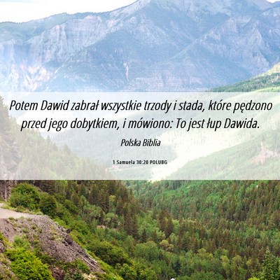 Picture 06 - 1 Samuela 30:20 POLUBG - Potem Dawid zabrał wszystkie trzody i stada, - Bible Verse Picture