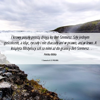 Picture 06 - 1 Samuela 6:12 POLUBG - I krowy poszły prostą drogą ku Bet-Szemesz. - Bible Verse Picture