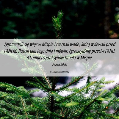 Picture 06 - 1 Samuela 7:6 POLUBG - Zgromadzili się więc w Mispie i czerpali wodę, - Bible Verse Picture