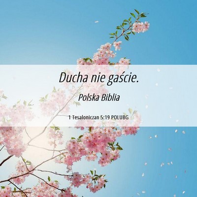 Picture 06 - 1 Tesaloniczan 5:19 POLUBG - Ducha nie - Bible Verse Picture