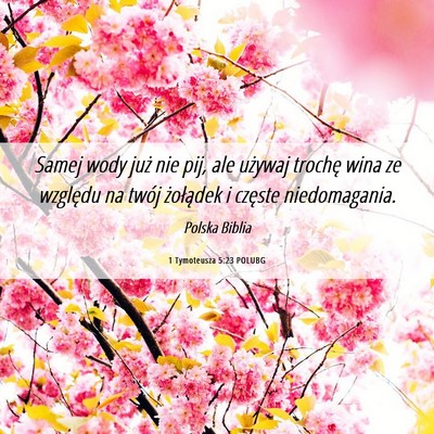 Picture 06 - 1 Tymoteusza 5:23 POLUBG - Samej wody już nie pij, ale używaj trochę wina - Bible Verse Picture