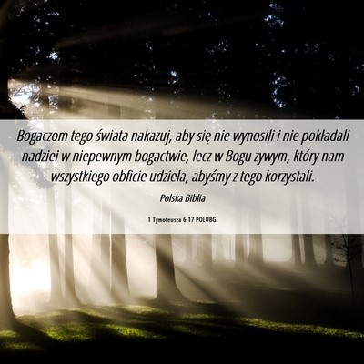 Picture 06 - 1 Tymoteusza 6:17 POLUBG - Bogaczom tego świata nakazuj, aby się nie - Bible Verse Picture