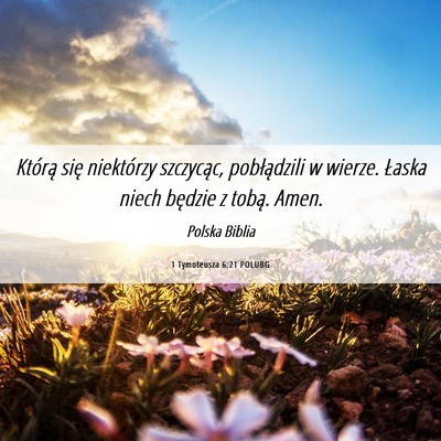 Picture 06 - 1 Tymoteusza 6:21 POLUBG - Którą się niektórzy szczycąc, pobłądzili w - Bible Verse Picture