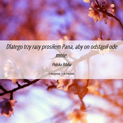 Picture 06 - 2 Koryntian 12:8 POLUBG - Dlatego trzy razy prosiłem Pana, aby on - Bible Verse Picture