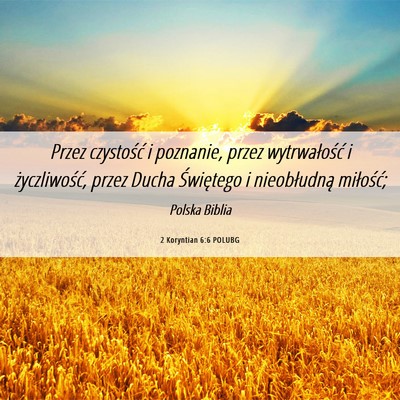 Picture 06 - 2 Koryntian 6:6 POLUBG - Przez czystość i poznanie, przez wytrwałość - Bible Verse Picture