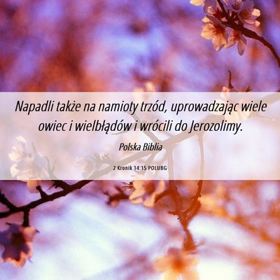 Picture 06 - 2 Kronik 14:15 POLUBG - Napadli także na namioty trzód, uprowadzając - Bible Verse Picture
