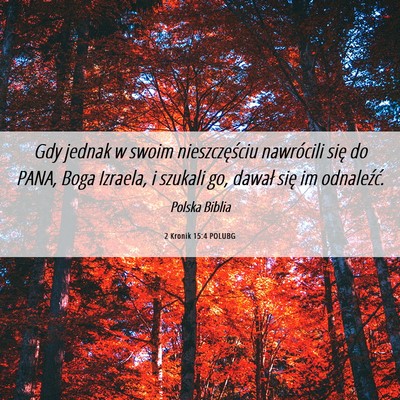 Picture 06 - 2 Kronik 15:4 POLUBG - Gdy jednak w swoim nieszczęściu nawrócili się - Bible Verse Picture