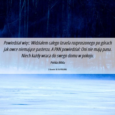Picture 06 - 2 Kronik 18:16 POLUBG - Powiedział więc: Widziałem całego Izraela - Bible Verse Picture