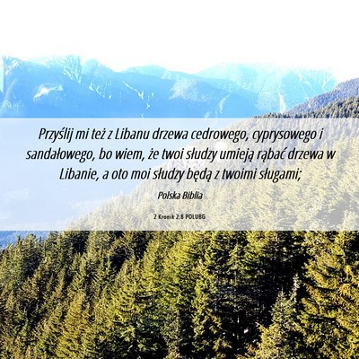 Picture 06 - 2 Kronik 2:8 POLUBG - Przyślij mi też z Libanu drzewa cedrowego, - Bible Verse Picture