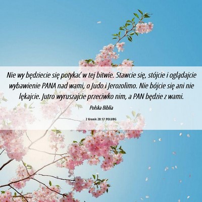 Picture 06 - 2 Kronik 20:17 POLUBG - Nie wy będziecie się potykać w tej bitwie. - Bible Verse Picture