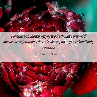 Picture 06 - 2 Kronik 21:11 POLUBG - Ponadto pobudował wyżyny w górach Judy i - Bible Verse Picture