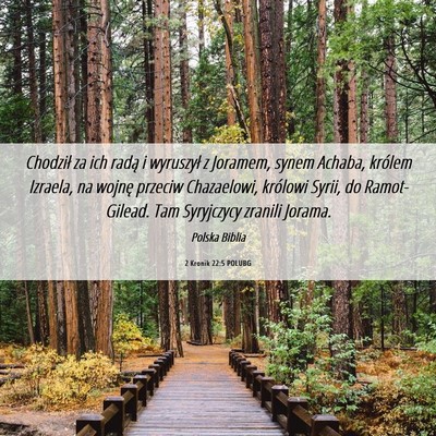 Picture 06 - 2 Kronik 22:5 POLUBG - Chodził za ich radą i wyruszył z Joramem, - Bible Verse Picture