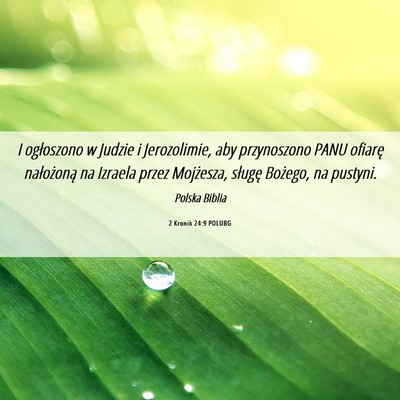 Picture 06 - 2 Kronik 24:9 POLUBG - I ogłoszono w Judzie i Jerozolimie, aby - Bible Verse Picture