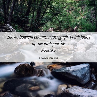 Picture 06 - 2 Kronik 28:17 POLUBG - Znowu bowiem Edomici nadciągnęli, pobili Judę - Bible Verse Picture