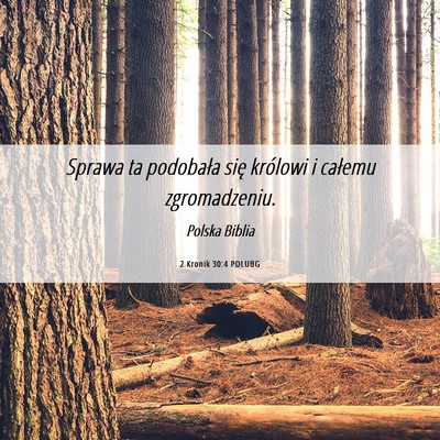 Picture 06 - 2 Kronik 30:4 POLUBG - Sprawa ta podobała się królowi i całemu - Bible Verse Picture
