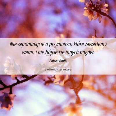 Picture 06 - 2 Królewska 17:38 POLUBG - Nie zapominajcie o przymierzu, które zawarłem z - Bible Verse Picture