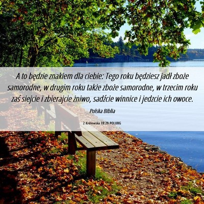 Picture 06 - 2 Królewska 19:29 POLUBG - A to będzie znakiem dla ciebie: Tego roku - Bible Verse Picture