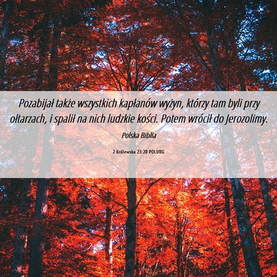 Picture 06 - 2 Królewska 23:20 POLUBG - Pozabijał także wszystkich kapłanów wyżyn, - Bible Verse Picture