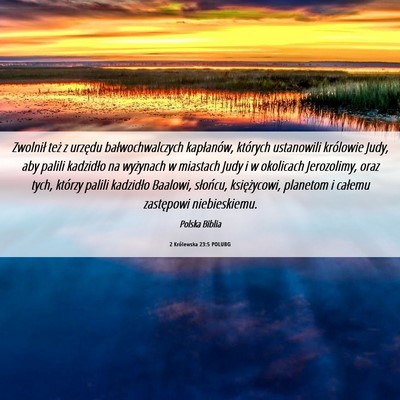 Picture 06 - 2 Królewska 23:5 POLUBG - Zwolnił też z urzędu bałwochwalczych - Bible Verse Picture