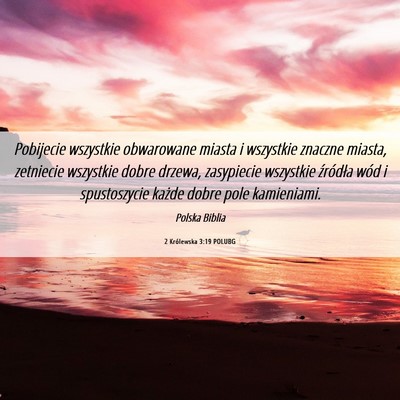 Picture 06 - 2 Królewska 3:19 POLUBG - Pobijecie wszystkie obwarowane miasta i wszystkie - Bible Verse Picture