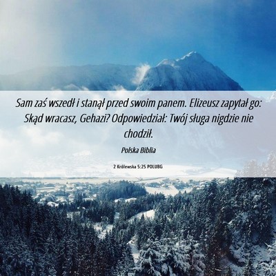 Picture 06 - 2 Królewska 5:25 POLUBG - Sam zaś wszedł i stanął przed swoim panem. - Bible Verse Picture