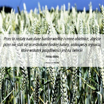 Picture 06 - 2 Piotra 1:4 POLUBG - Przez to zostały nam dane bardzo wielkie i cenne - Bible Verse Picture