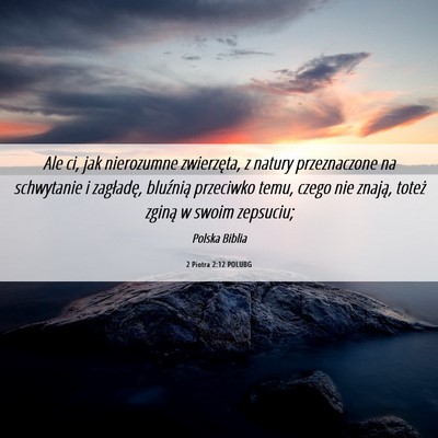 Picture 06 - 2 Piotra 2:12 POLUBG - Ale ci, jak nierozumne zwierzęta, z natury - Bible Verse Picture