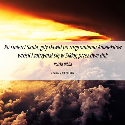 Picture 06 - 2 Samuela 1:1 POLUBG - Po śmierci Saula, gdy Dawid po rozgromieniu - Bible Verse Picture